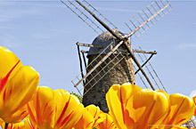 holland