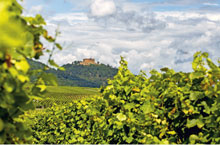 badische weinstrasse